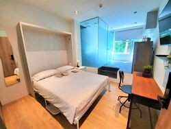 Raeburn Park (D2), Apartment #488406911